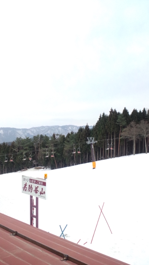 110227_1658~01.jpg