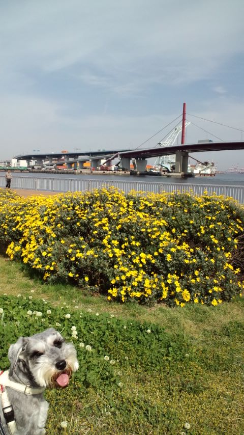 110421_1443~02.jpg