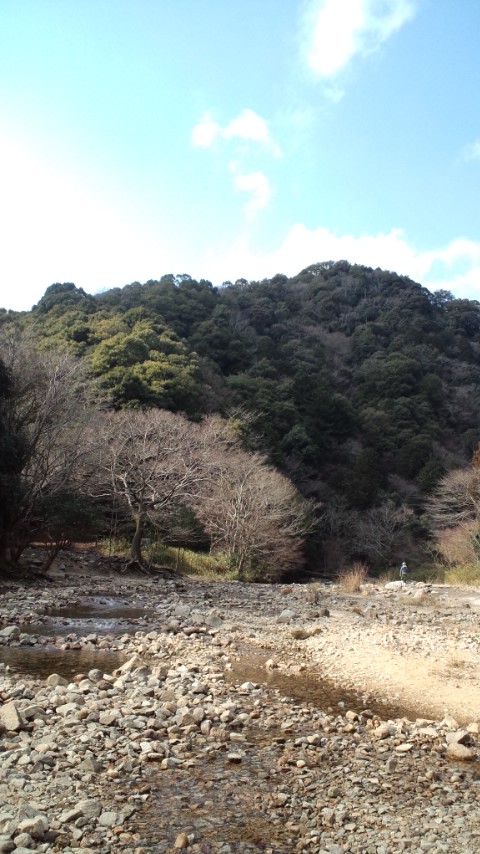 120216_1428~01.jpg